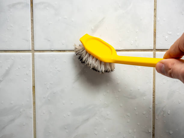 Home Mold Removal in Staten Island, NY
