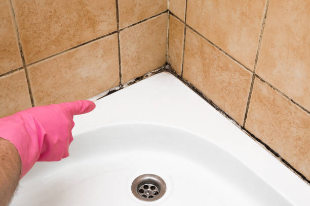 Best Mold Testing  in Staten Island, NY